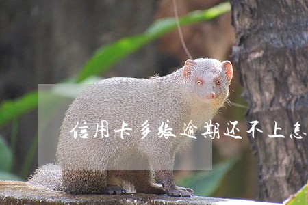 信用卡多张逾期还不上怎么办 信用卡多张逾期还不上怎么办