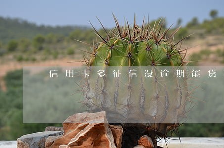 信用卡多征信没逾期能贷款吗 信用卡多征信没逾期能贷款吗