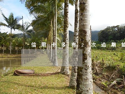 信用卡多有2次逾期能办房贷吗 信用卡多有2次逾期能办房贷吗