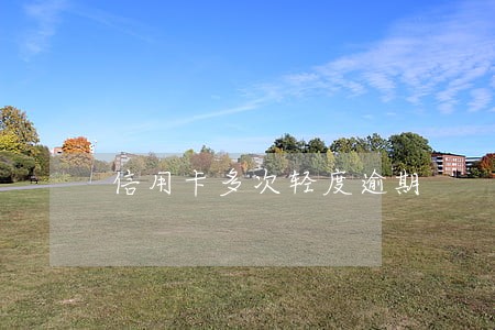 信用卡多次轻度逾期
