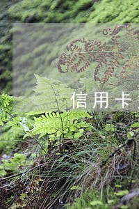 信用卡多次逾期10天还款