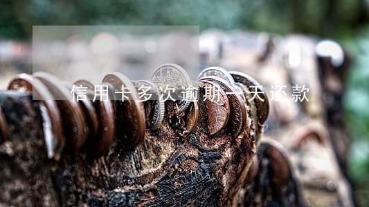 信用卡多次逾期一天还款 信用卡多次逾期一天还款