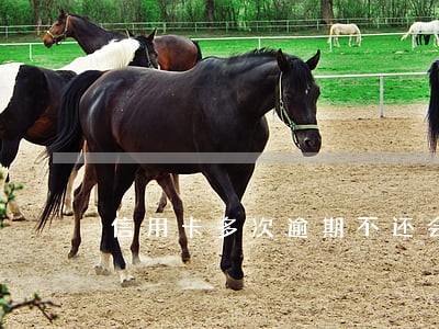 信用卡多次逾期不还会怎样 信用卡多次逾期不还会怎样