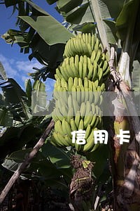 信用卡多次逾期会造成什么 信用卡多次逾期会造成什么
