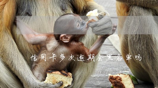 信用卡多次逾期会黑名单吗 信用卡多次逾期会黑名单吗
