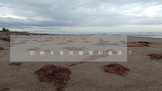 信用卡多次逾期但都还了 信用卡多次逾期但都还了