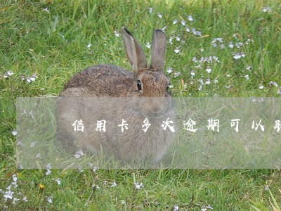信用卡多次逾期可以取消记录吗 信用卡多次逾期可以取消记录吗