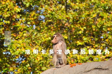 信用卡多次逾期后额度为0 信用卡多次逾期后额度为0