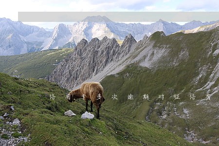 信用卡多次逾期对征信有影响吗