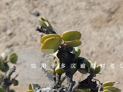 信用卡多次逾期对考公务员 信用卡多次逾期对考公务员