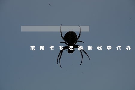 信用卡多次逾期找中介办房贷 信用卡多次逾期找中介办房贷