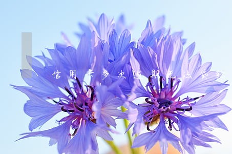 信用卡多次逾期无法贷款 信用卡多次逾期无法贷款