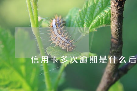 信用卡多次逾期是什么后果