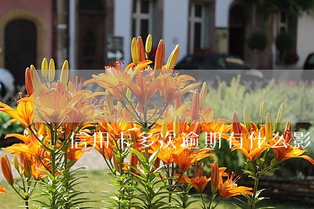 信用卡多次逾期有什么影响 信用卡多次逾期有什么影响