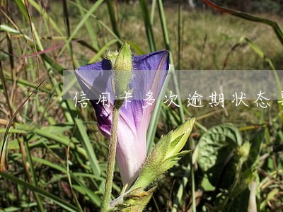 信用卡多次逾期状态异常 信用卡多次逾期状态异常