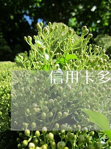 信用卡多次逾期能取公积金吗