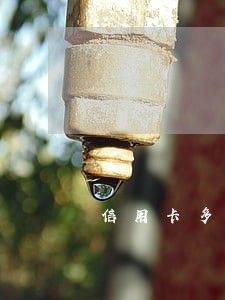 信用卡多次逾期被冻结怎样解冻 信用卡多次逾期被冻结怎样解冻