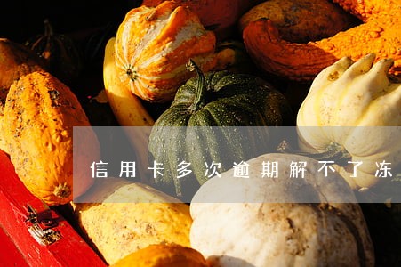 信用卡多次逾期解不了冻