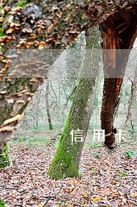 信用卡多次逾期还不了如何挽救 信用卡多次逾期还不了如何挽救