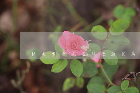 信用卡多次逾期还能买房吗 信用卡多次逾期还能买房吗