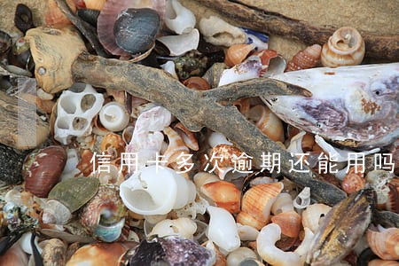 信用卡多次逾期还能用吗 信用卡多次逾期还能用吗