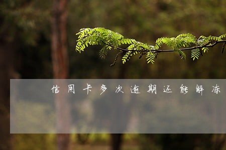 信用卡多次逾期还能解冻吗