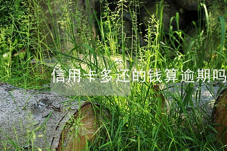 信用卡多还的钱算逾期吗