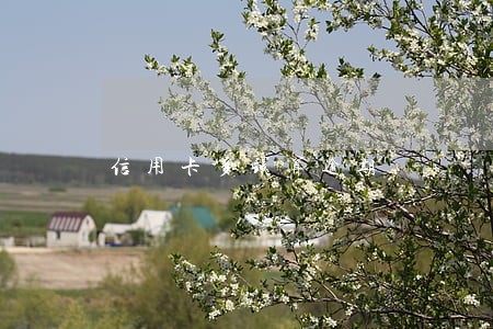 信用卡多钱算逾期 信用卡多钱算逾期