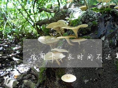 信用卡多长时间不还算逾期 信用卡多长时间不还算逾期