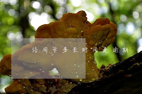 信用卡多长时间是逾期 信用卡多长时间是逾期