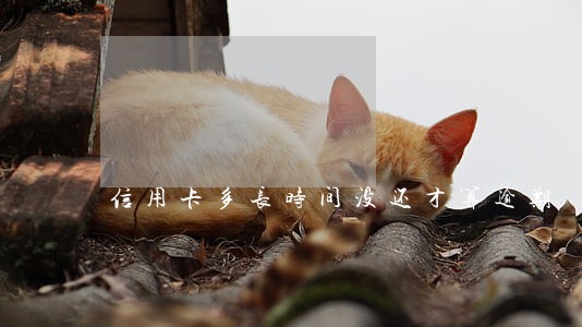 信用卡多长时间没还才算逾期 信用卡多长时间没还才算逾期