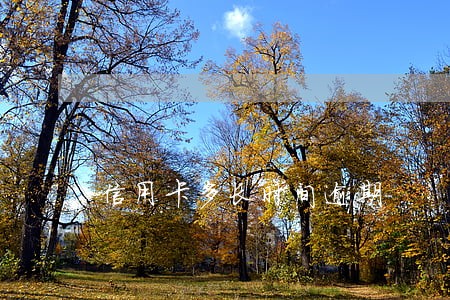 信用卡多长时间逾期 信用卡多长时间逾期