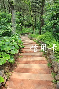 信用卡大于90逾期算黑户吗 信用卡大于90逾期算黑户吗