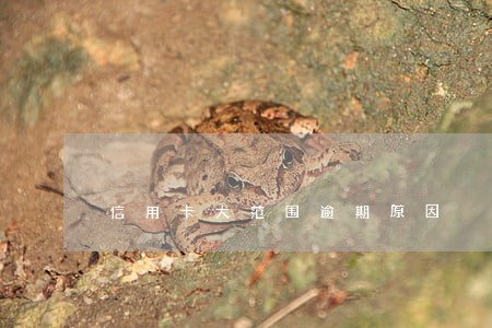 信用卡大范围逾期原因 信用卡大范围逾期原因