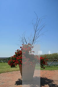 信用卡大规模逾期