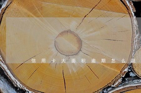 信用卡大面积逾期怎么挺过去