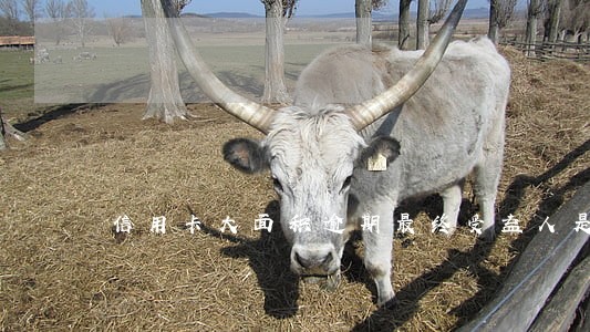 信用卡大面积逾期最终受益人是谁 信用卡大面积逾期最终受益人是谁
