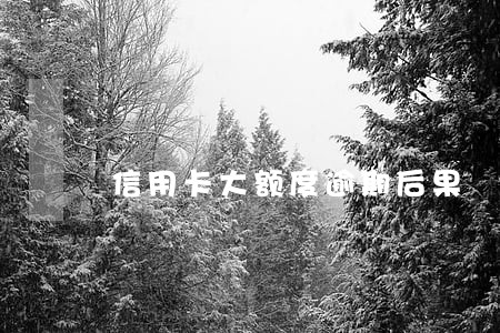 信用卡大额度逾期后果 信用卡大额度逾期后果