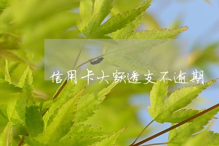 信用卡大额透支不逾期 信用卡大额透支不逾期