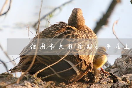 信用卡大额逾期2年以上 信用卡大额逾期2年以上