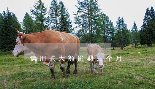 信用卡大额逾期三个月