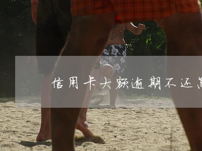 信用卡大额逾期不还怎么办 信用卡大额逾期不还怎么办