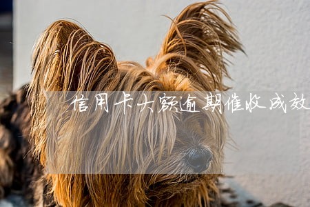 信用卡大额逾期催收成效