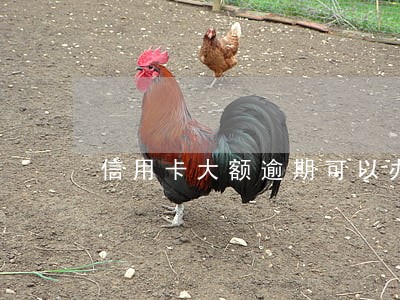 信用卡大额逾期可以办分期吗