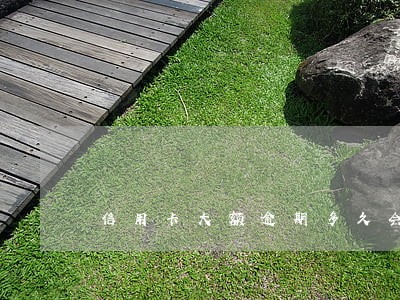 信用卡大额逾期多久会判刑 信用卡大额逾期多久会判刑