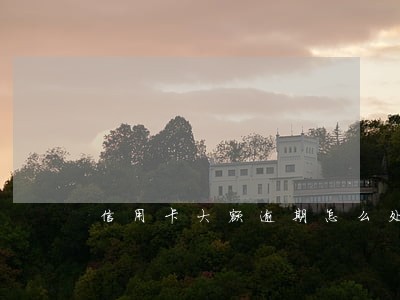 信用卡大额逾期怎么处理 信用卡大额逾期怎么处理
