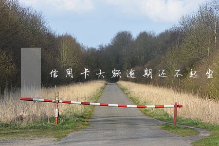 信用卡大额逾期还不起坐牢案例 信用卡大额逾期还不起坐牢案例