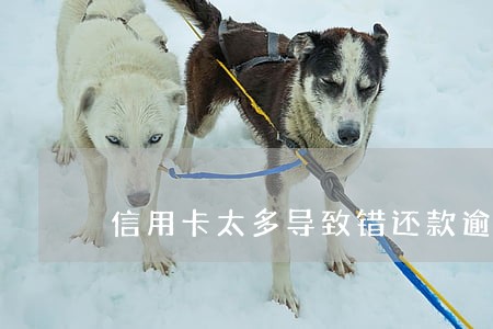 信用卡太多导致错还款逾期六天