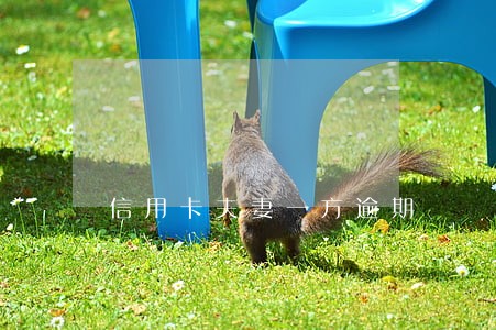 信用卡夫妻一方逾期 信用卡夫妻一方逾期