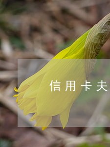 信用卡夫妻共同逾期风险 信用卡夫妻共同逾期风险